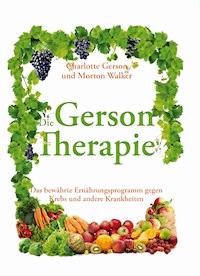 Das Große Gerson Buch - Gerson Charlotte - ebook