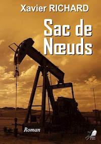 Sac de Nœuds - Xavier Richard - ebook