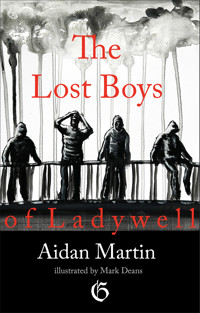 The Lost Boys of Ladywell - Aidan Martin - ebook