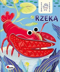 Dotykam poznaję Rzeka - Joanna Wiśniewska - książka