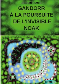 Gandorr à la Poursuite de l'Invisible Noak - Jérome SMIEL - ebook