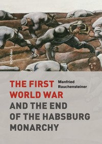 The First World War - Manfried Rauchensteiner - ebook