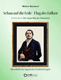 Schau auf die Erde – Der Flug des Falken. Drittes Buch: Der lange Weg der Erkenntnis - Walter Baumert - ebook