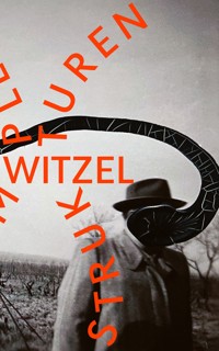 Komplexe Strukturen - Frank Witzel - ebook