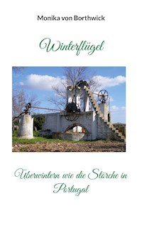 Winterflügel - Monika von Borthwick - ebook