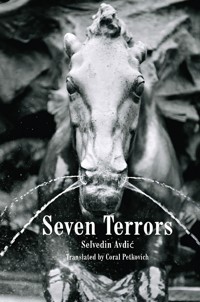 Seven Terrors - Selvedin Avdić - ebook