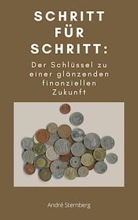 Schritt für Schritt: Der Schlüssel zu einer glänzenden finanziellen Zukunft - Andre Sternberg - ebook