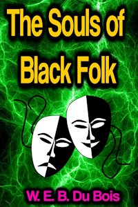 The Souls of Black Folk - W. E. B. Du Bois - ebook