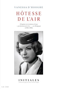 Hôtesse de l'air - Vanessa D'Hooghe - ebook