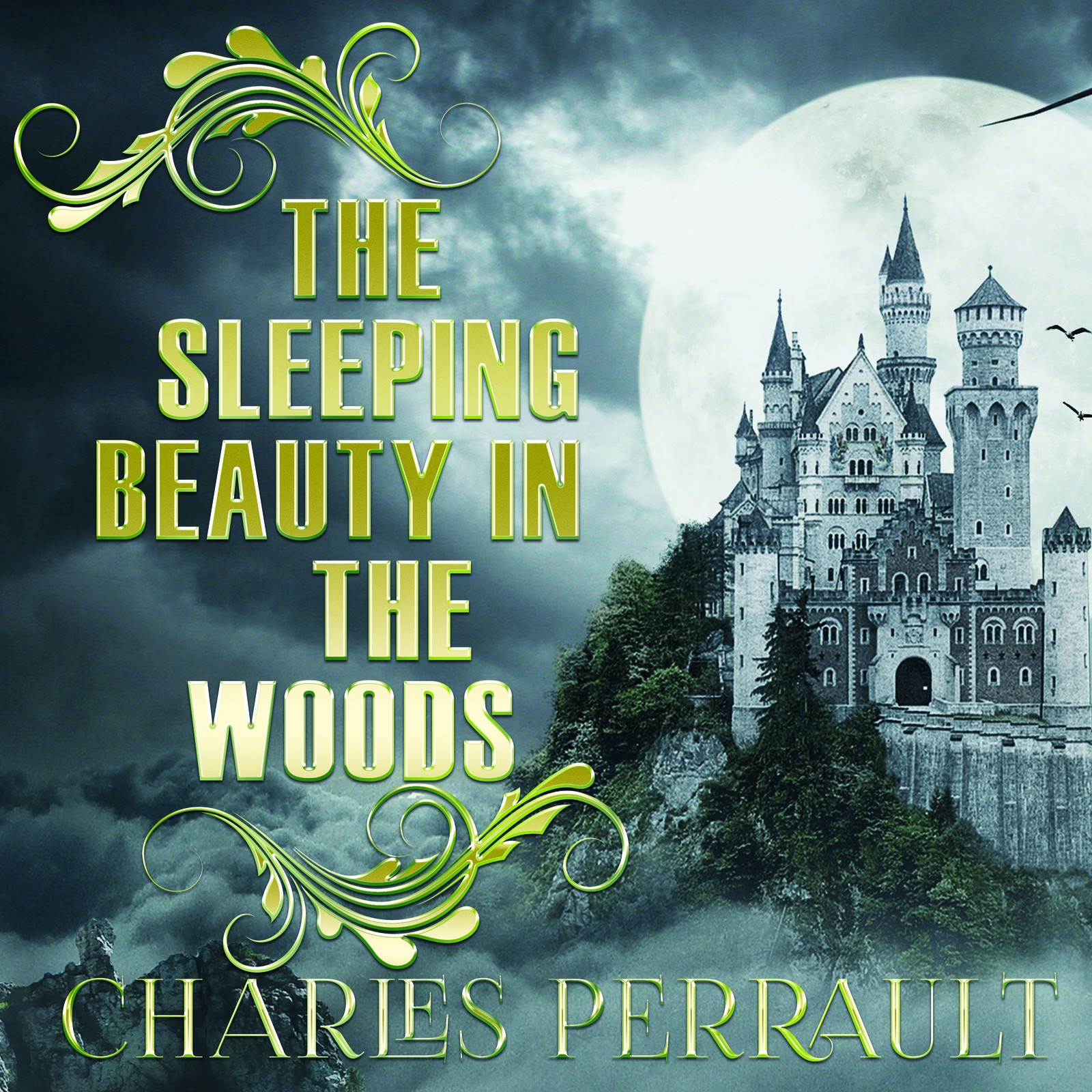 The Sleeping Beauty in the Woods