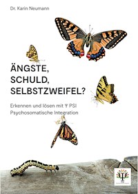 Ängste, Schuld, Selbstzweifel? - Karin Neumann - ebook