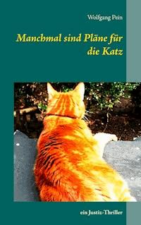 Manchmal sind Pläne für die Katz - Wolfgang Pein - ebook