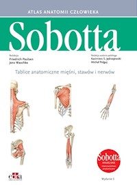 Tablice anatomiczne mięśni, stawów i nerwów. Angielskie mianownictwo - Paulsen F., Waschke J. - książka