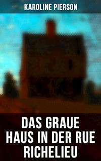 Das graue Haus in der Rue Richelieu - Karoline Pierson - ebook