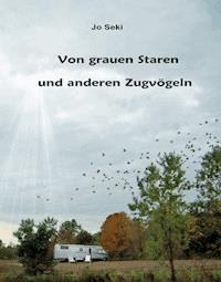 Von grauen Staren und anderen Zugvögeln - Jo Seki - ebook