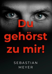 Du gehörst zu mir! - Sebastian Meyer - ebook