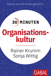 30 Minuten Organisationskultur - Rainer Krumm - ebook