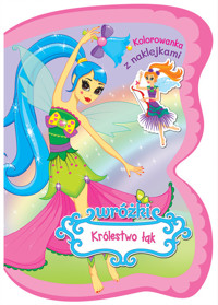 Wróżki. Królestwo łąk. Kolorowanka z naklejkami - Ina Katkauskaite - książka