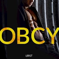 Obcy i 14 innych opowiadań erotycznych - Katja Slonawski, Camille Bech - ebook + audiobook