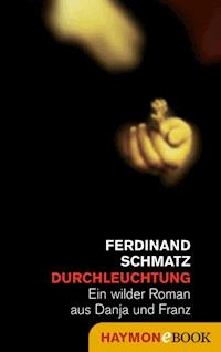 Durchleuchtung - Ferdinand Schmatz - ebook
