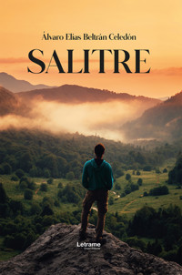 Salitre - Álvaro Elías Beltrán Celedón - ebook