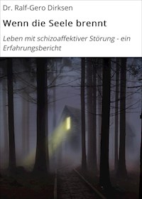 Wenn die Seele brennt - Dr. Ralf-Gero Dirksen - ebook