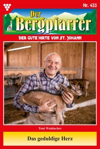 Das geduldige Herz - Toni Waidacher - ebook