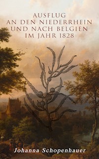 Ausflug an den Niederrhein und nach Belgien im Jahr 1828 - Johanna Schopenhauer - ebook