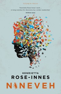 Nineveh - Henrietta Rose-Innes - ebook