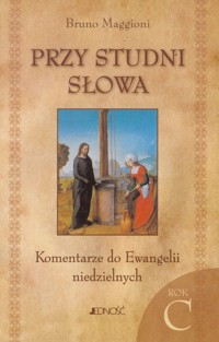Przy studni Słowa - Maggioni Bruno - książka