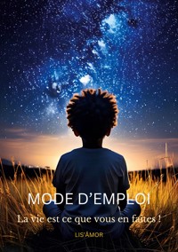 Mode d'emploi - Lis'âmOr . - ebook