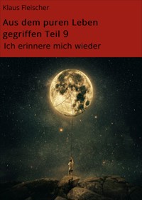 Aus dem puren Leben gegriffen Teil 9 - Klaus Fleischer - ebook