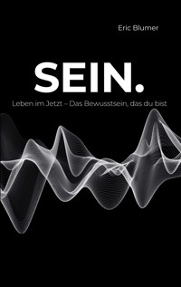 SEIN. - Eric Blumer - ebook