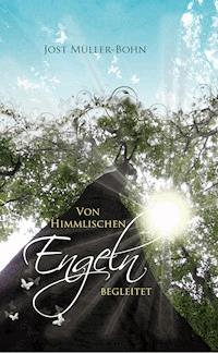 Von himmlischen Engeln begleitet - Jost Müller-Bohn - ebook