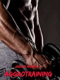 Aggrotraining - Joshua Hardon - ebook