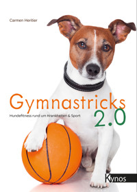 Gymnastricks 2.0 - Carmen Heritier - ebook