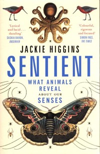 Sentient What Animals Reveal About Our Senses - Higgins Jackie - książka