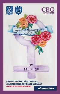 Violencia de Género y Feminicidios en México - Julia Carmen Chávez del Carapia - ebook