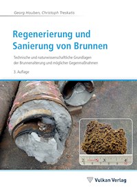 Regenerierung und Sanierung von Brunnen - Georg Houben - ebook