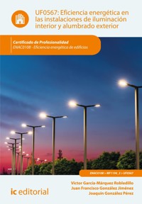 Eficiencia energética en las instalaciones de iluminación interior y alumbrado exterior. ENAC0108 - Víctor García-Márquez Robledillo - ebook