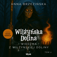 Wiedźma z Wilżyńskiej Doliny - Anna Brzezińska - audiobook + książka