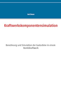 Kraftwerkskomponentensimulation - Jost Braun - ebook