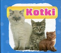 Kotki harmonijka mała -  - książka