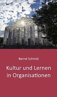Kultur und Lernen in Organisationen - Bernd Schmid - ebook