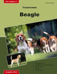 Traumrasse: Beagle - Herbert Walter - ebook