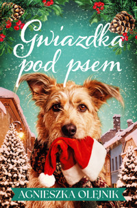 Gwiazdka pod psem - Agnieszka Olejnik - ebook + audiobook