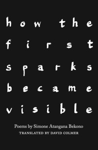 how the first sparks became visible - Simone Atangana Bekono - ebook