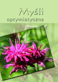 Myśli optymistyczne 5 - Aldona Różanek - książka