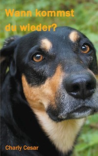 Wann kommst du wieder? - Charly Cesar - ebook