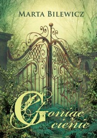 Goniąc cienie - Bilewicz Marta - książka